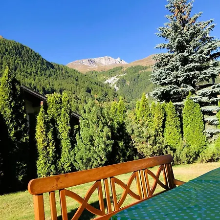 Apartment Bel Alp 3 - Rez Avec Jardin - 5 Personnes- *