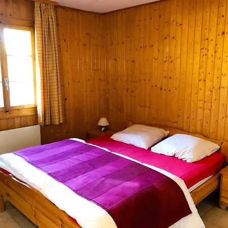 Apartment Bel Alp 3 - Rez Avec Jardin - 5 Personnes- *